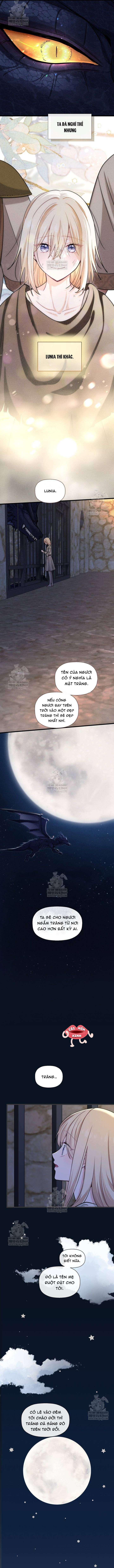 Bệ Hạ, Xin Hãy Quên Tôi Đi Chap 54 - Trang 2