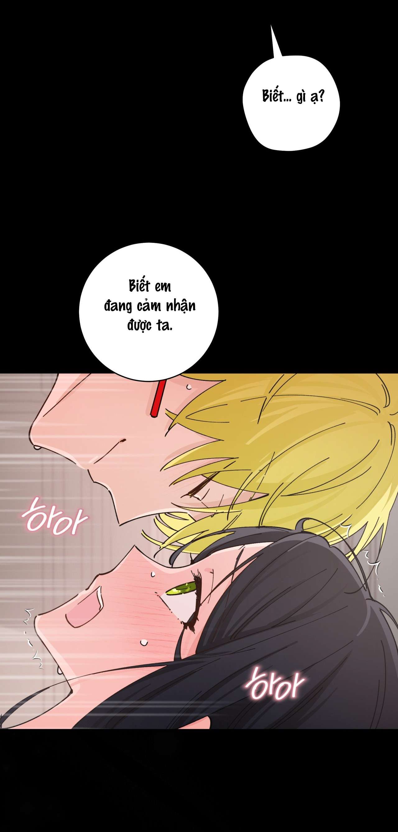 Tiểu Thư Nuốt Phù Thủy Chap 8 - Trang 3