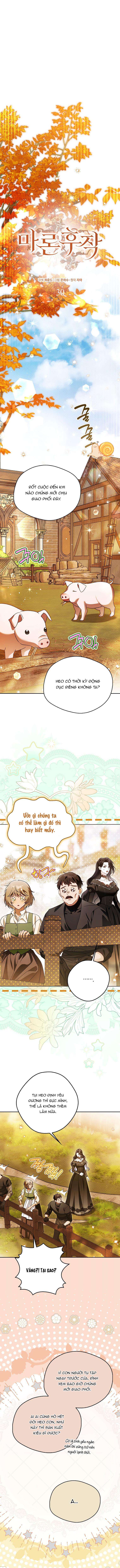 Hầu Tước Marron Chap 30 - Trang 2