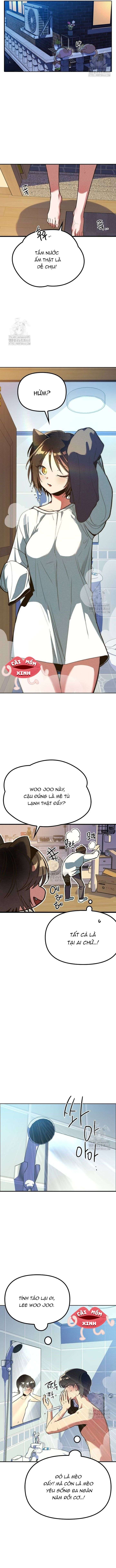 Thiếu Nữ 12 Con Giáp Chap 5 - Next Chap 6