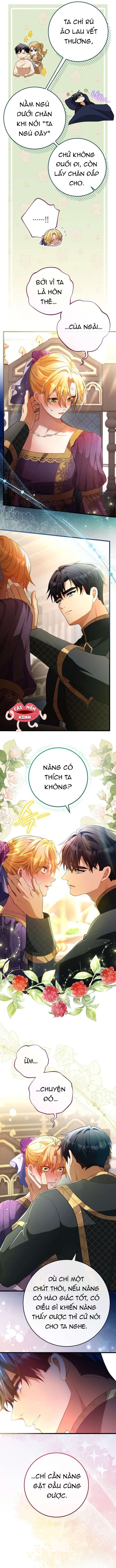 Lời Cầu Hôn Hoang Dã Chap 39 - Trang 2