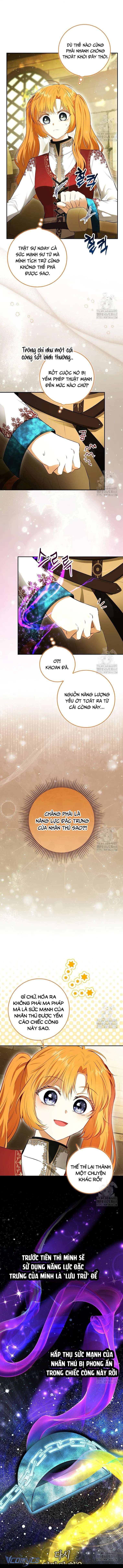 Sóc Con Tài Năng Chap 104 - Trang 2