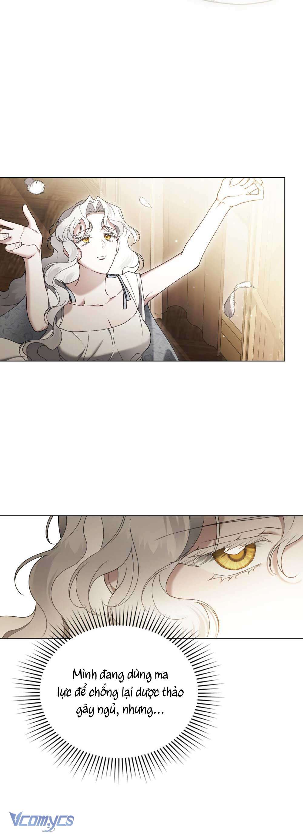 Hôn Nhân Khế Ước Chap 54 - Trang 3