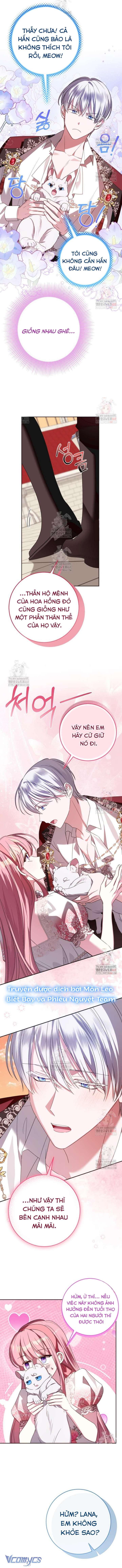 Tôi Gặp Nam Chính Trong Tù Chap 70 - Trang 3