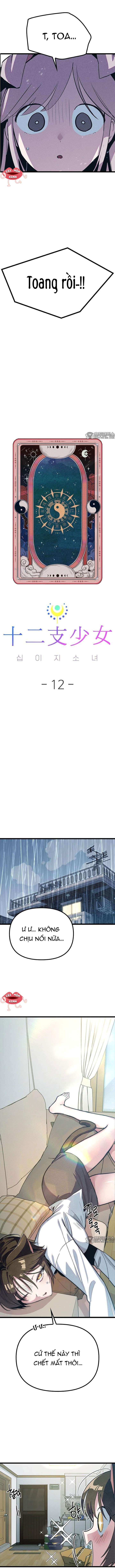 Thiếu Nữ 12 Con Giáp Chap 12 - Next 