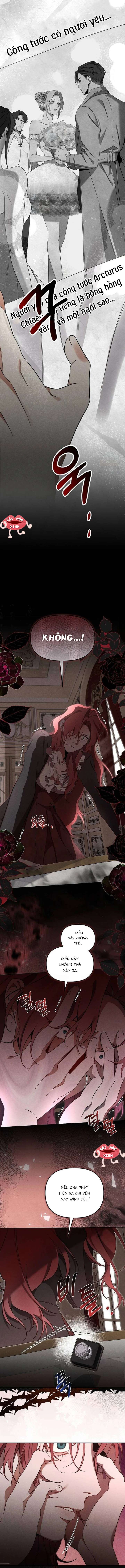 Nơi Đóa Hồng Vàng Úa Tàn Chap 7 - Trang 3