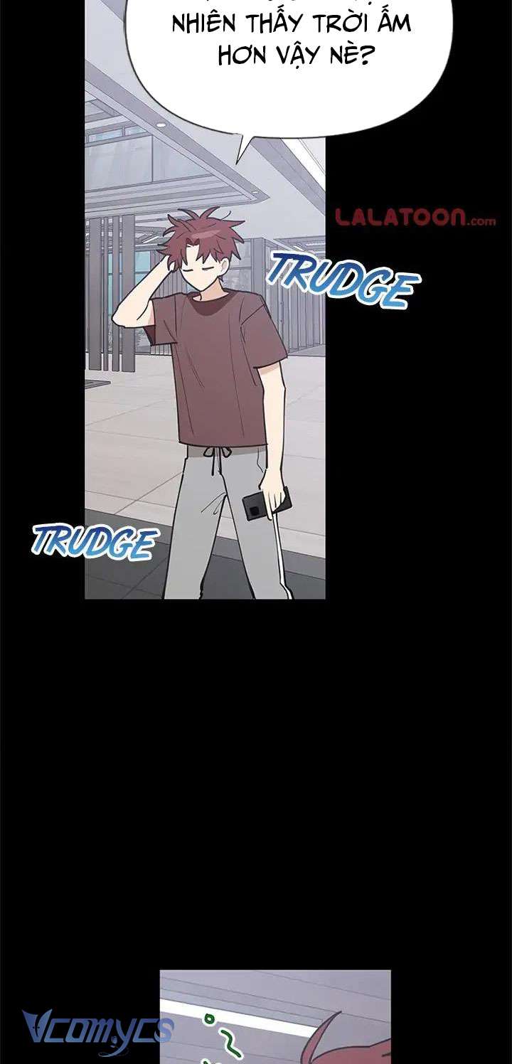 Điều Ước Sao Băng Chap 45 - Trang 4