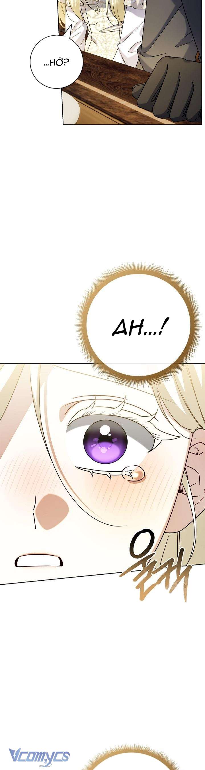 Xin Lỗi Vì Tôi Không Thể Rời Mắt Khỏi Vẻ Ngoài Của Ngài Chap 45 - Trang 3