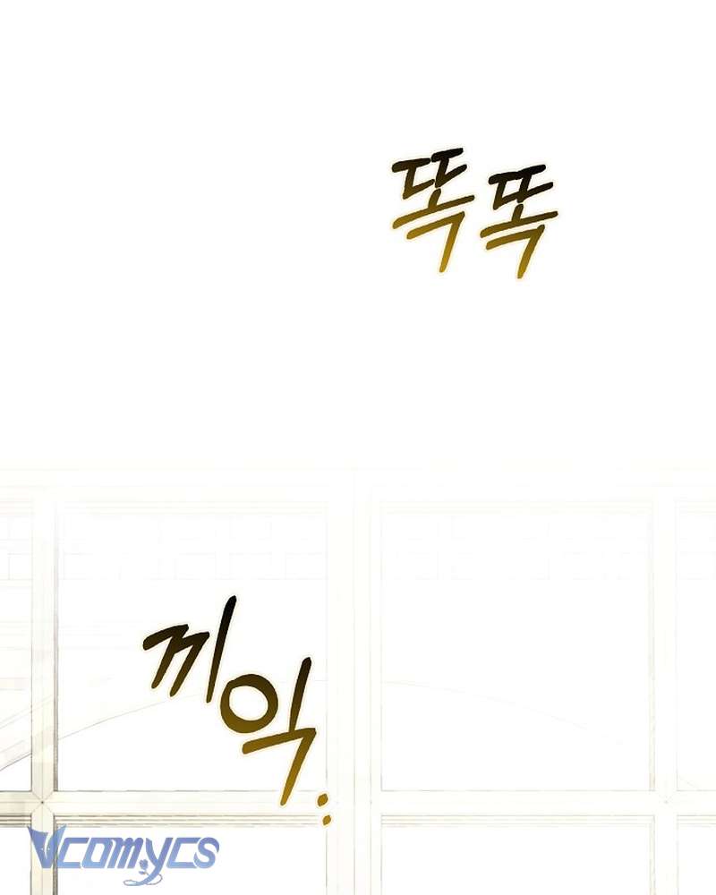 Các Nam Chính Đã Bị Nữ Phụ Cướp Mất Chap 64 - Trang 2