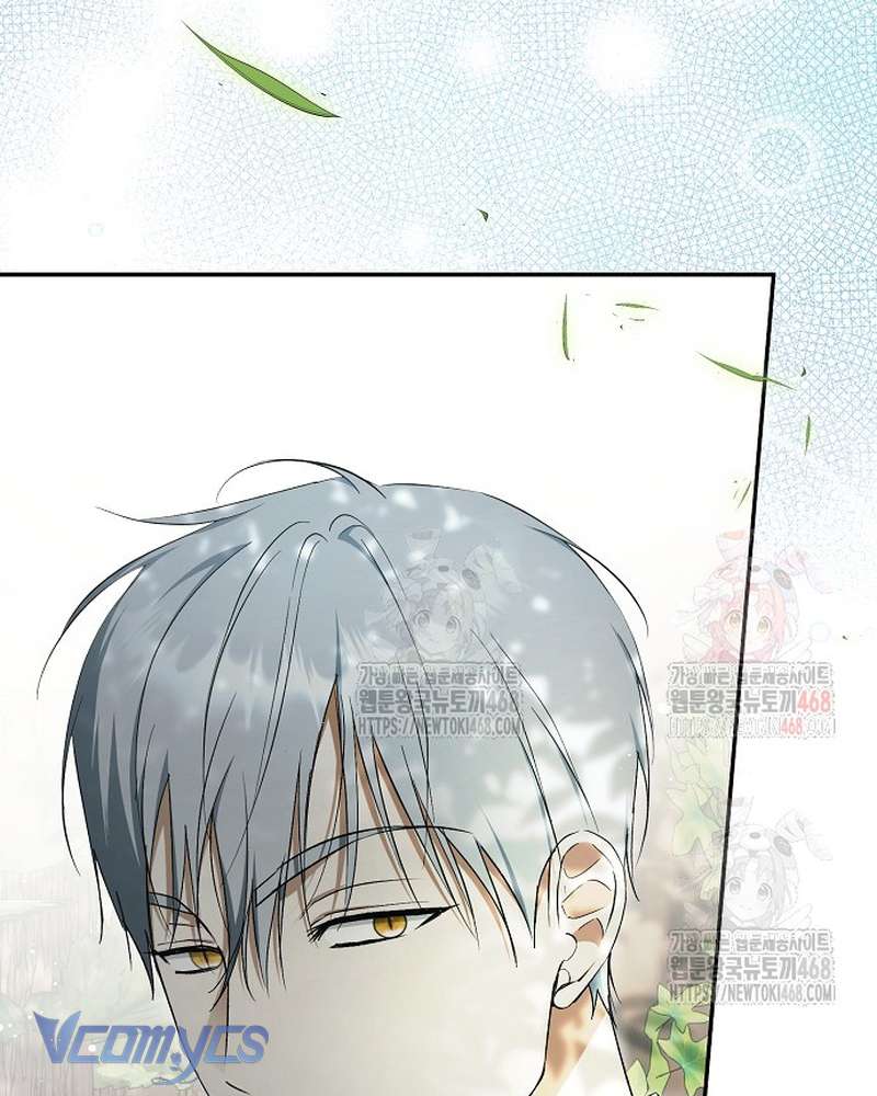 Các Nam Chính Đã Bị Nữ Phụ Cướp Mất Chap 62 - Trang 2