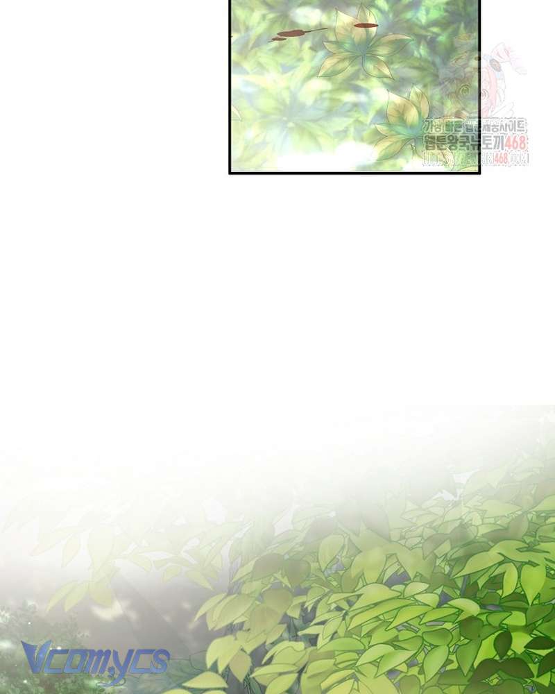 Các Nam Chính Đã Bị Nữ Phụ Cướp Mất Chap 62 - Trang 2