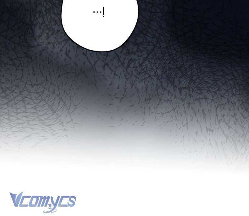 Các Nam Chính Đã Bị Nữ Phụ Cướp Mất Chap 47 - Trang 4