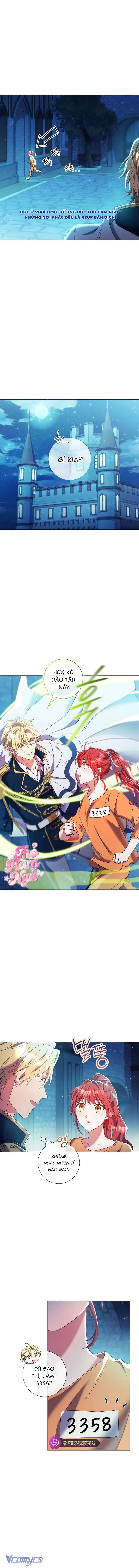 Sao Tôi Có Thể Li Hôn Khi Còn Chưa Kết Hôn Đây, Thưa Bệ Hạ Chap 14 - Trang 2