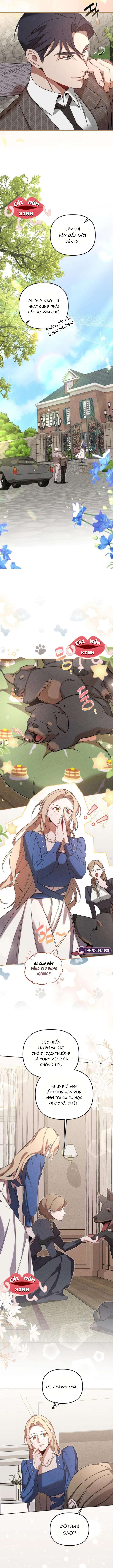 Nơi Đóa Hồng Vàng Úa Tàn Chap 14 - Trang 2