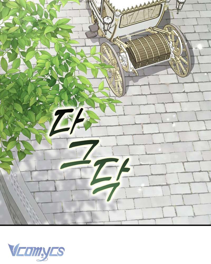 Các Nam Chính Đã Bị Nữ Phụ Cướp Mất Chap 53 - Trang 3