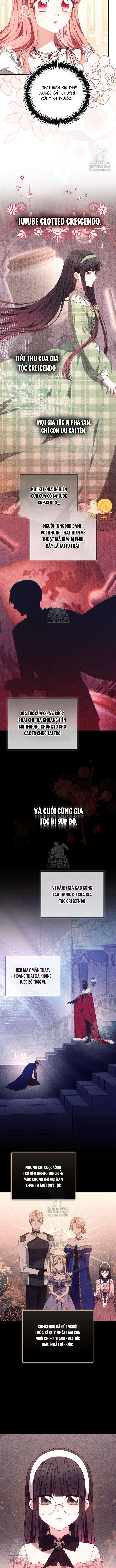 Tiểu Thư Mạnh Mẽ Muốn Trở Nên Yếu Đuối Chap 13 - Trang 2