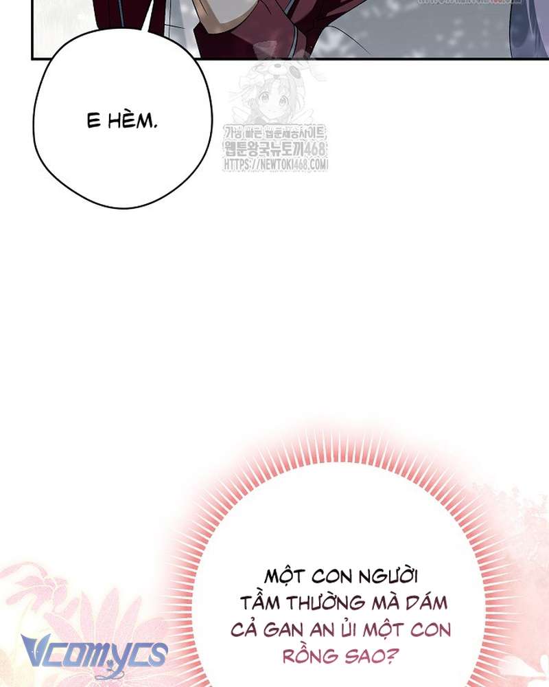 Các Nam Chính Đã Bị Nữ Phụ Cướp Mất Chap 62 - Trang 2