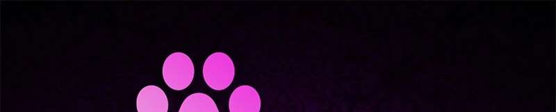 Kết cục của cuộc hôn nhân hợp đồng cao cấp Chap 18 - Trang 2