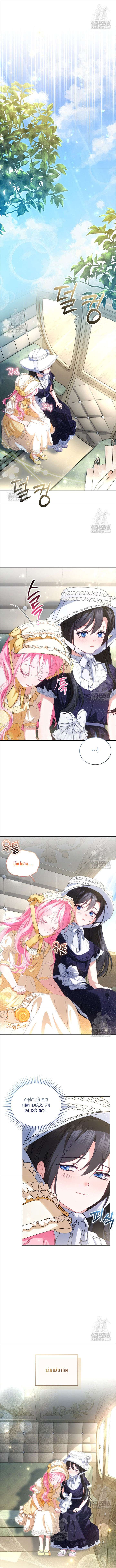 Tôi Là Người Duy Nhất Không Biết Ác Nữ Là Một Người Đàn Ông Chap 12 - Trang 2