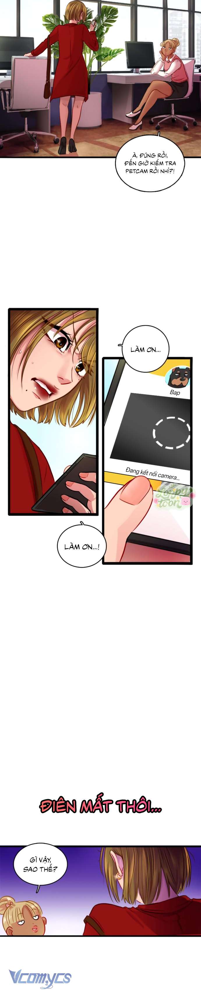 Chú Cún Dạo Bước Cùng Anh Chap 1 - Trang 2