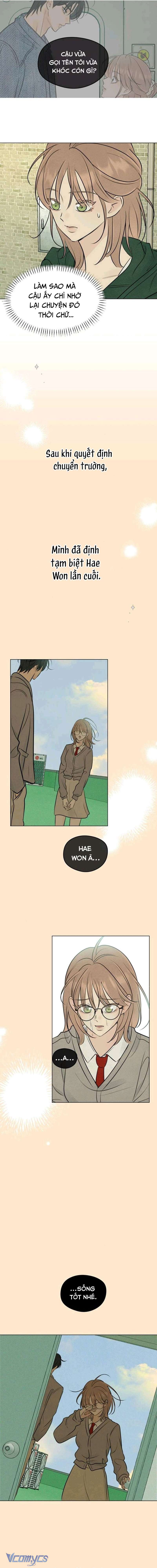 Mối Tình Đầu Của Kẻ Côn Đồ Chap 13 - Trang 2