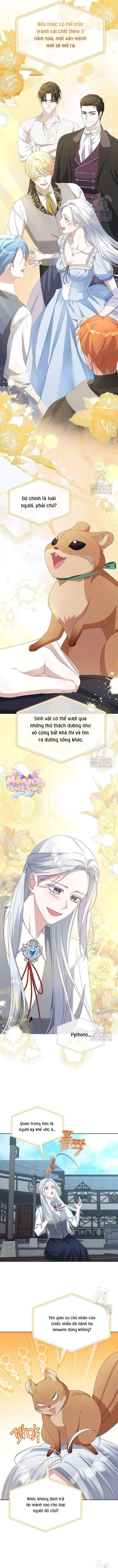 Trở Thành Con Gái Nuôi Của Gia Tộc Sát Thủ Chap 60 - Trang 4