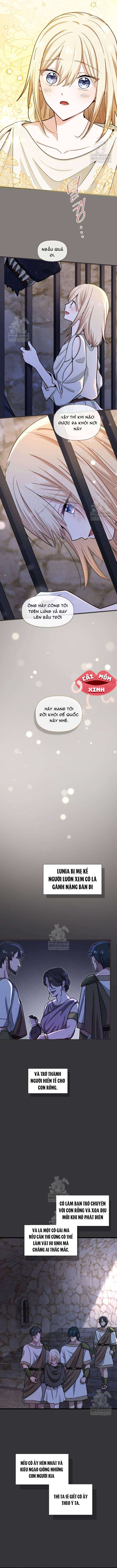Bệ Hạ, Xin Hãy Quên Tôi Đi Chap 54 - Trang 2