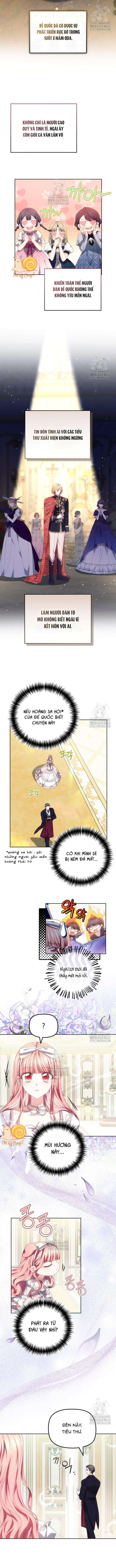 Tiểu Thư Mạnh Mẽ Muốn Trở Nên Yếu Đuối Chap 12 - Next Chap 13