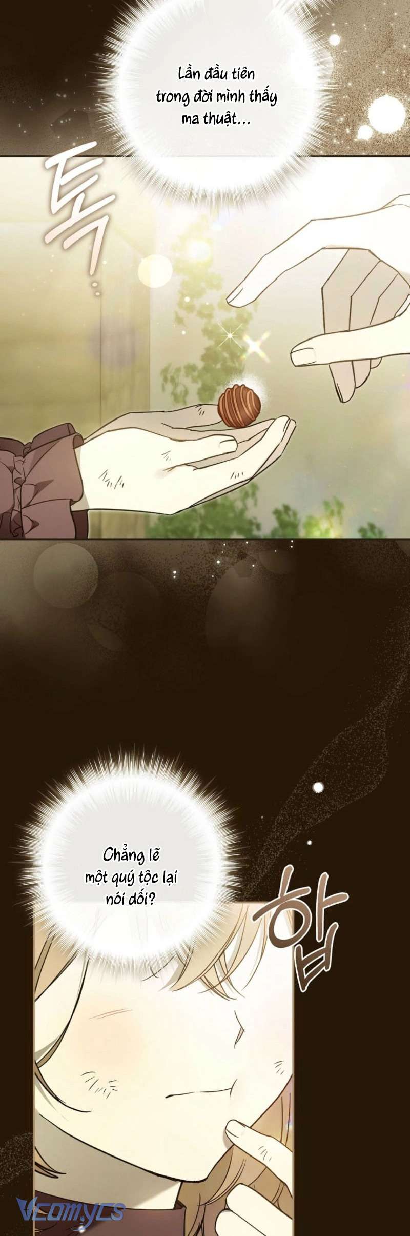 Độc Chiếm Sủng Ái Của Công Chúa Út, Mọi Người Đều Say Mê Tôi. Chap 35 - Trang 3