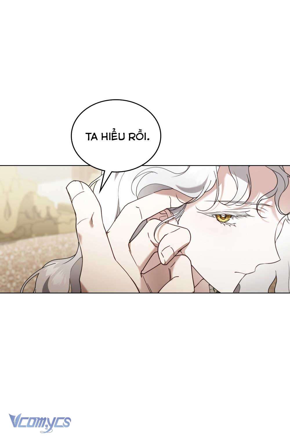 Hôn Nhân Khế Ước Chap 54 - Trang 3