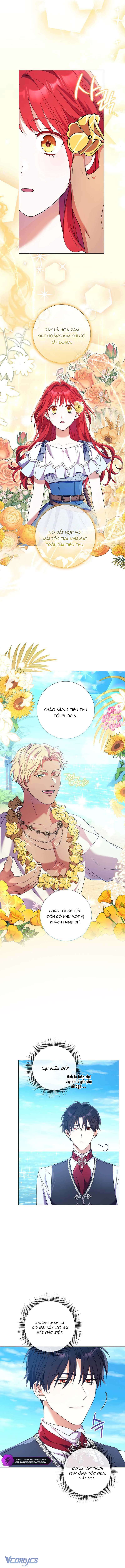 Sao Tôi Có Thể Li Hôn Khi Còn Chưa Kết Hôn Đây, Thưa Bệ Hạ Chap 21 - Trang 2