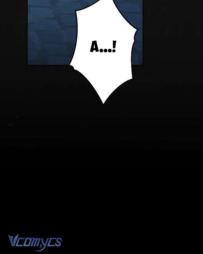 Các Nam Chính Đã Bị Nữ Phụ Cướp Mất Chap 45 - Trang 3