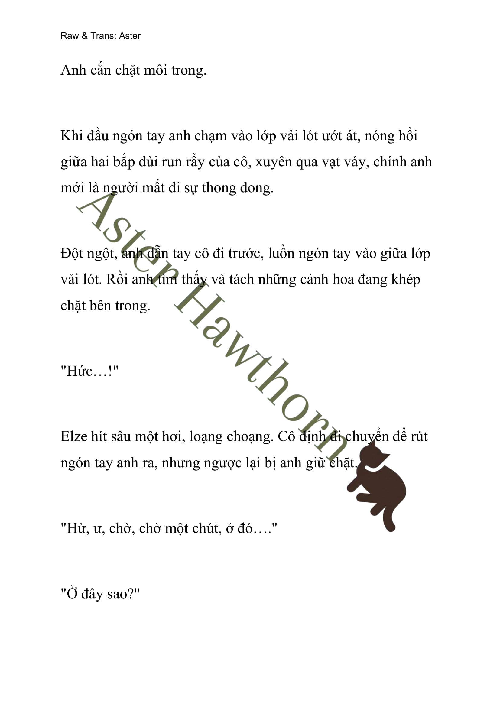 [NOVEL] Anh Hùng Khao Khát Sự Sa Ngã Của Thánh Nữ Chap 11 - Trang 2