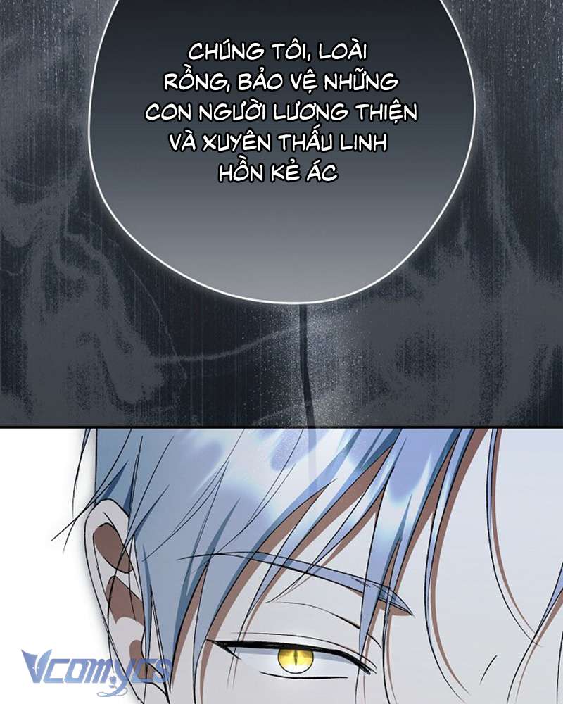 Các Nam Chính Đã Bị Nữ Phụ Cướp Mất Chap 61 - Trang 3