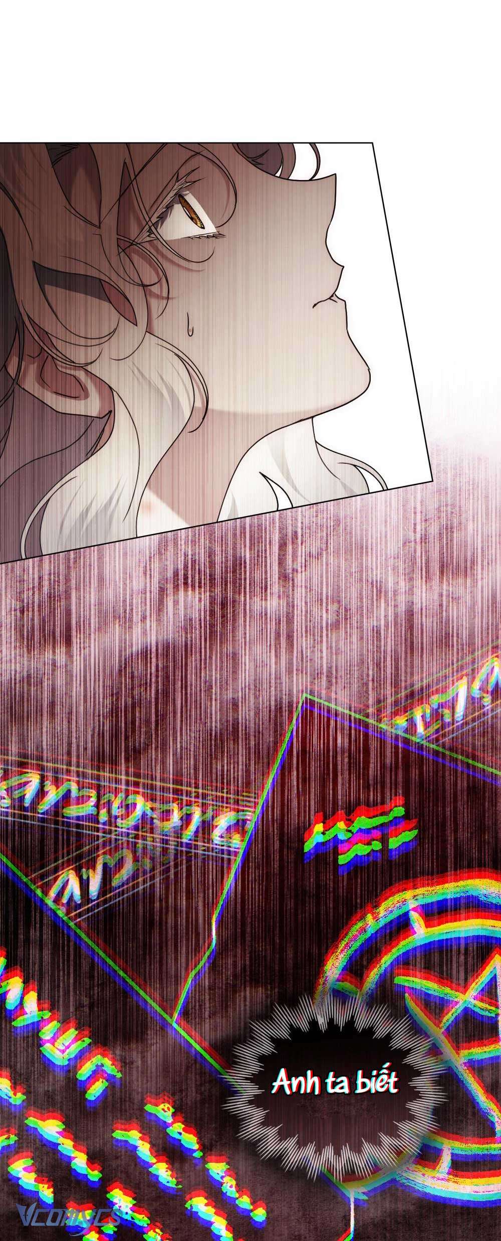 Hôn Nhân Khế Ước Chap 52 - Trang 3