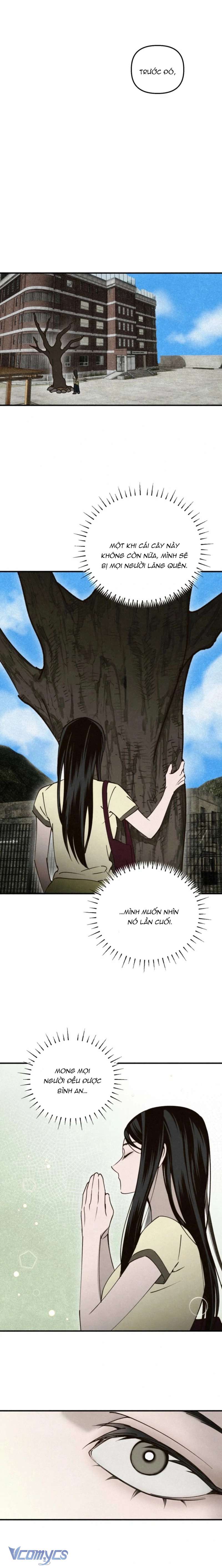 Mùa Hè Bị Nuốt Chửng Bởi Bóng Tối Chap 19 - Trang 2