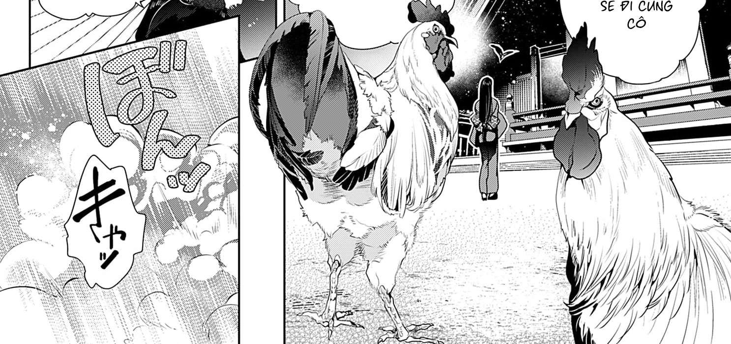 Cuộc Hôn Nhân Của Công Chúa Mặt Trăng Giả Dối: Cho Đến Khi Bị Bỏ Rơi Và Được Thần Sói Sủng Ái Chap 3 - Trang 2