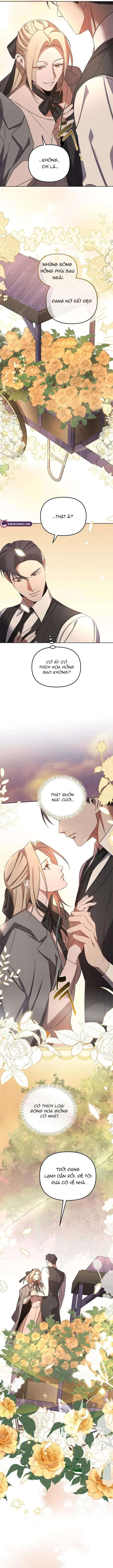 Nơi Đóa Hồng Vàng Úa Tàn Chap 8 - Trang 2