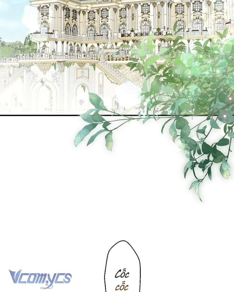 Các Nam Chính Đã Bị Nữ Phụ Cướp Mất Chap 64 - Trang 2