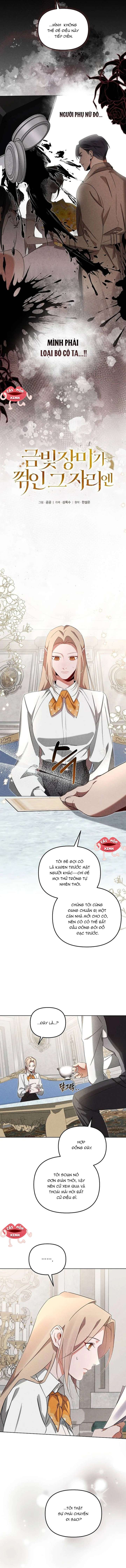 Nơi Đóa Hồng Vàng Úa Tàn Chap 7 - Trang 3