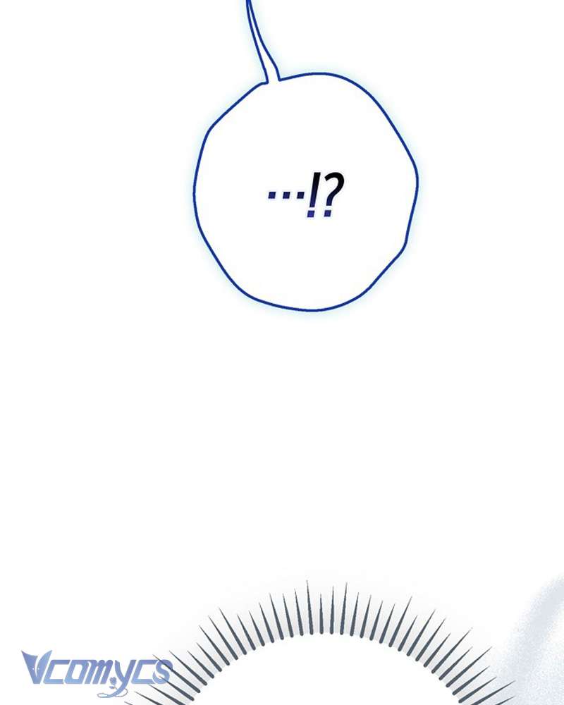 Các Nam Chính Đã Bị Nữ Phụ Cướp Mất Chap 61 - Trang 3