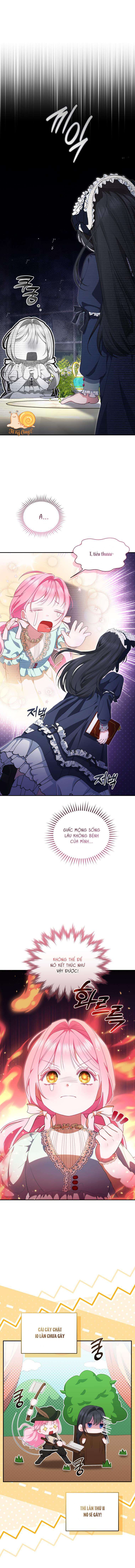 Tôi Là Người Duy Nhất Không Biết Ác Nữ Là Một Người Đàn Ông Chap 4 - Trang 2