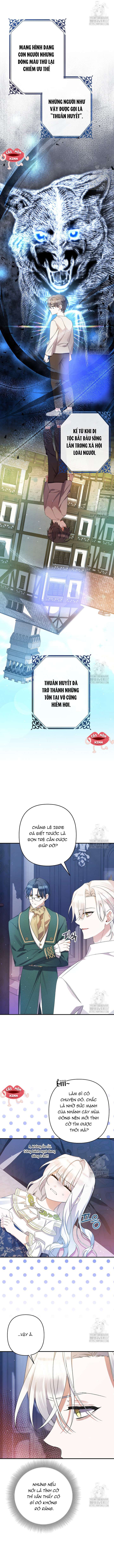 Tôi Chỉ Định Chăm Sóc Người Cha Ốm Yếu Của Mình Thôi Mà Chap 20 - Trang 2