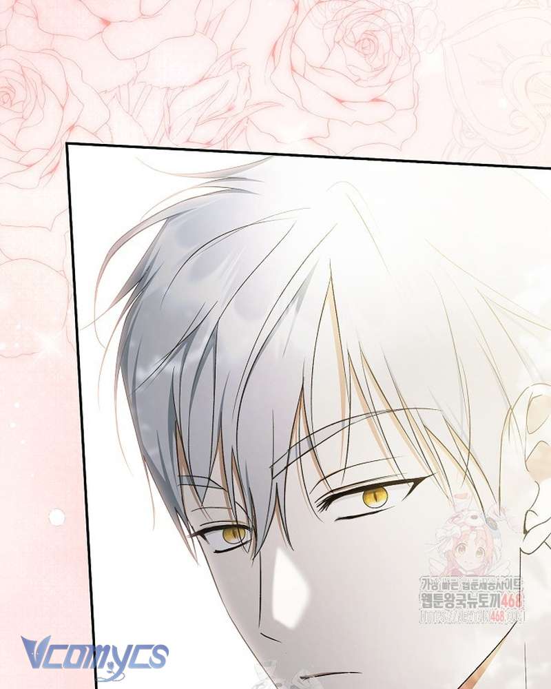 Các Nam Chính Đã Bị Nữ Phụ Cướp Mất Chap 62 - Trang 2