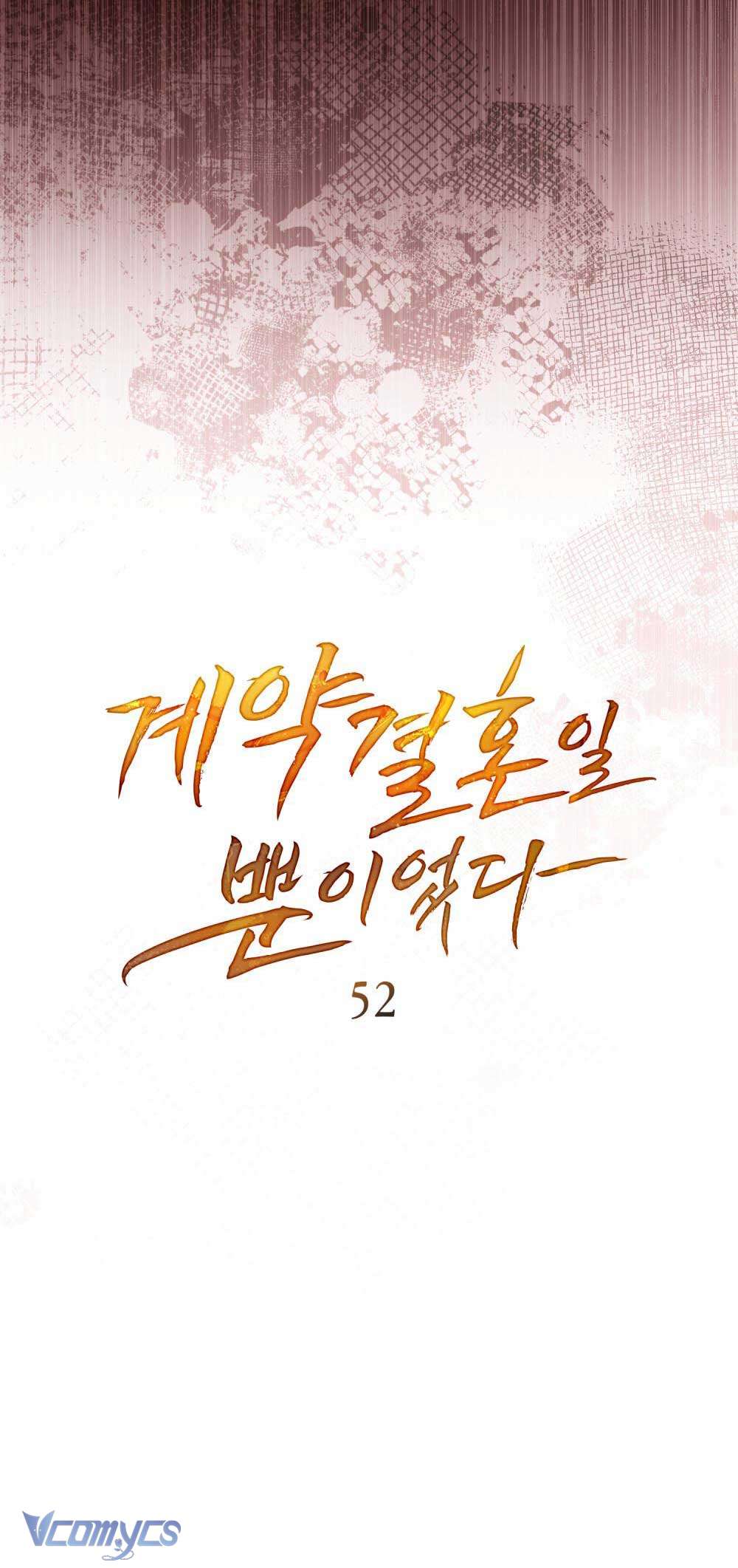 Hôn Nhân Khế Ước Chap 52 - Trang 3