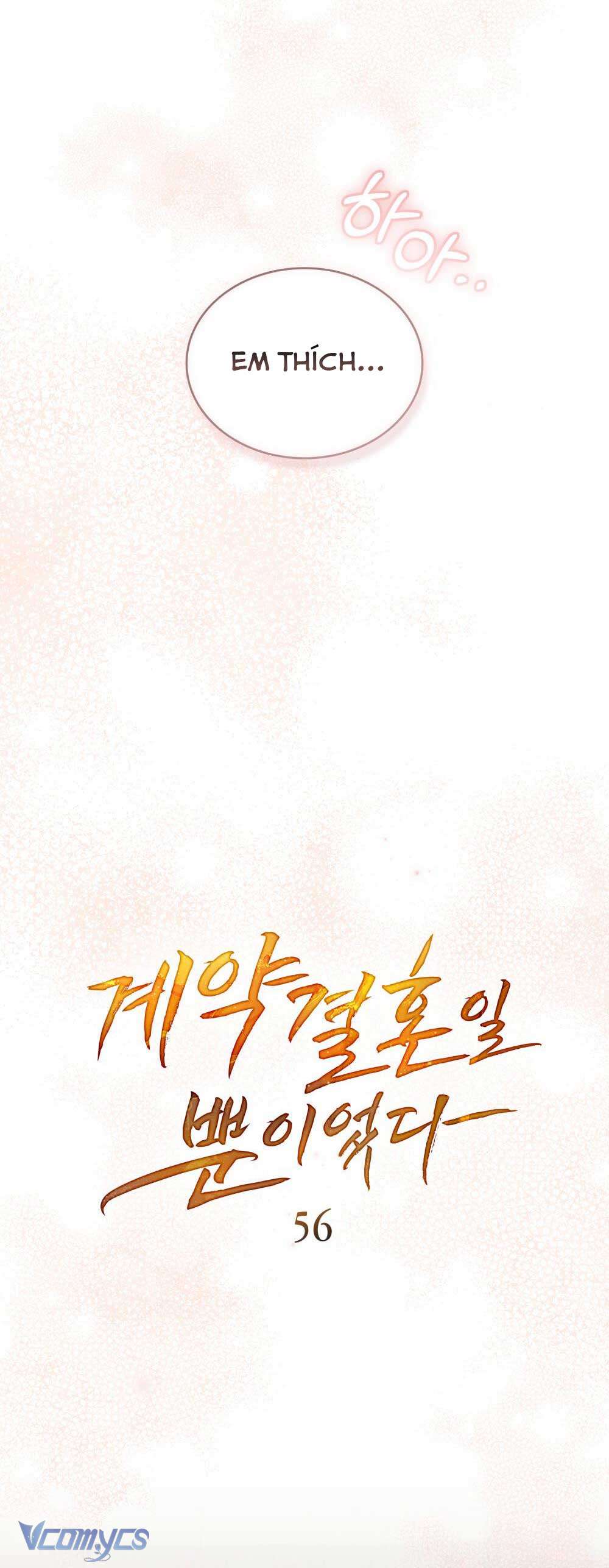 Hôn Nhân Khế Ước Chap 56 - Trang 3