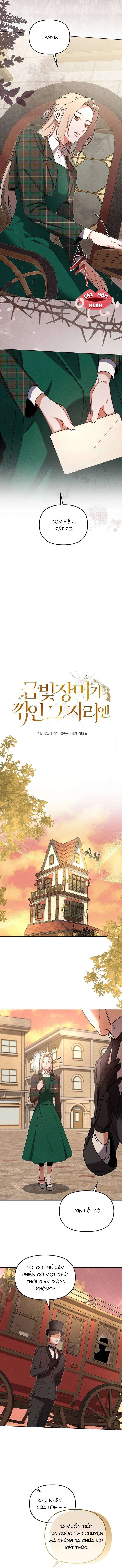 Nơi Đóa Hồng Vàng Úa Tàn Chap 9 - Trang 2