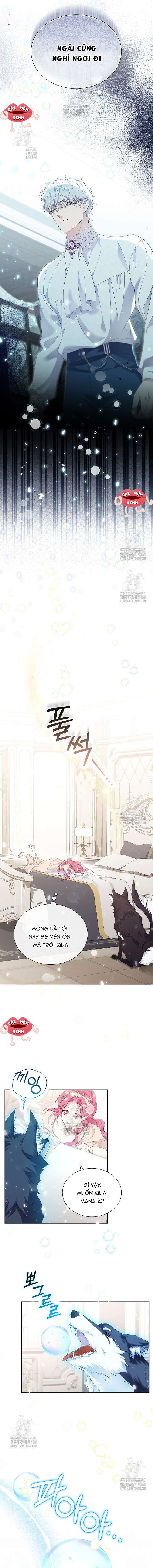 Khi Bị Nam Chính Dịu Dàng Nhưng Cố Chấp Ám Ảnh Chap 9 - Trang 2