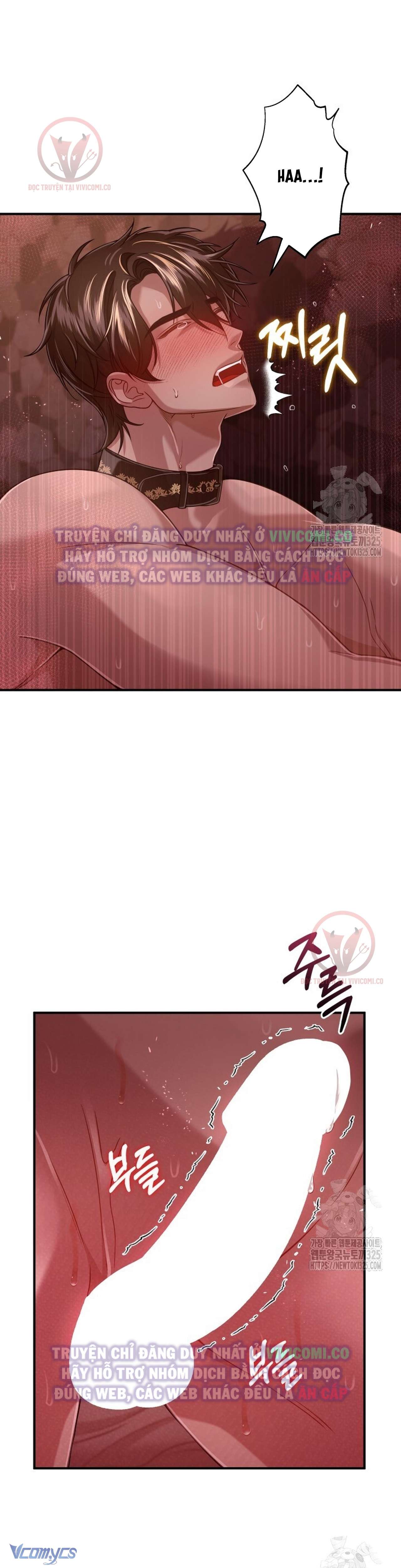 [18+] Bí Mật Của Quyền Lực Và Sự Hủy Diệt Chap 14 - Trang 3