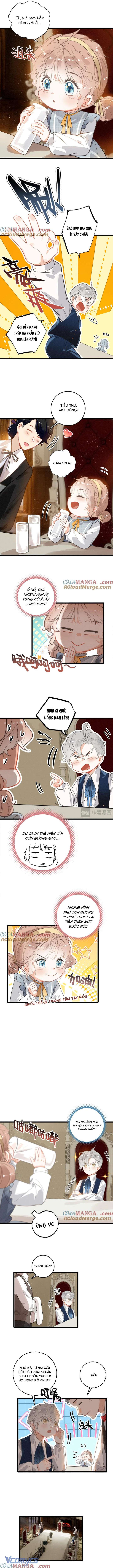 Sau Khi Xuyên Không Thành Tiểu Bảo Bảo, Cả Nhà Phản Diện Đều Muốn Giết Tôi! Chap 9 - Trang 2